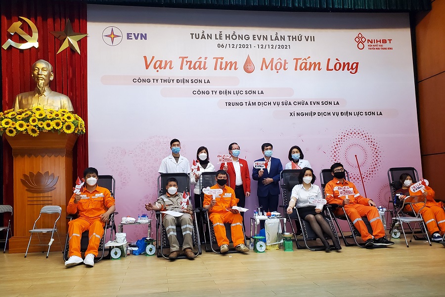 Tin truyền hình: Tuần lễ hồng EVN lần thứ VII "Vạn trái tim một tấm lòng"