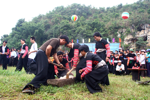 'Du lịch qua miền Tây Bắc' 2011 ở Mộc Châu có gì?