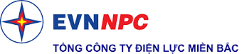 Nghị định về việc chuyển giao công trình điện là tài sản công sang Tập đoàn Điện lực Việt Nam
