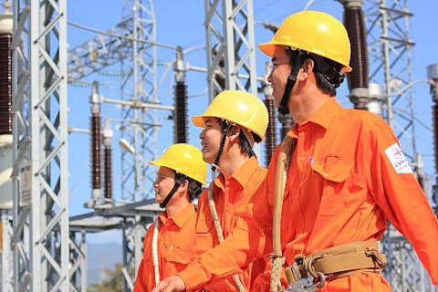 Tập đoàn Điện lực Việt Nam: Những “bông hoa” đẹp nhất

