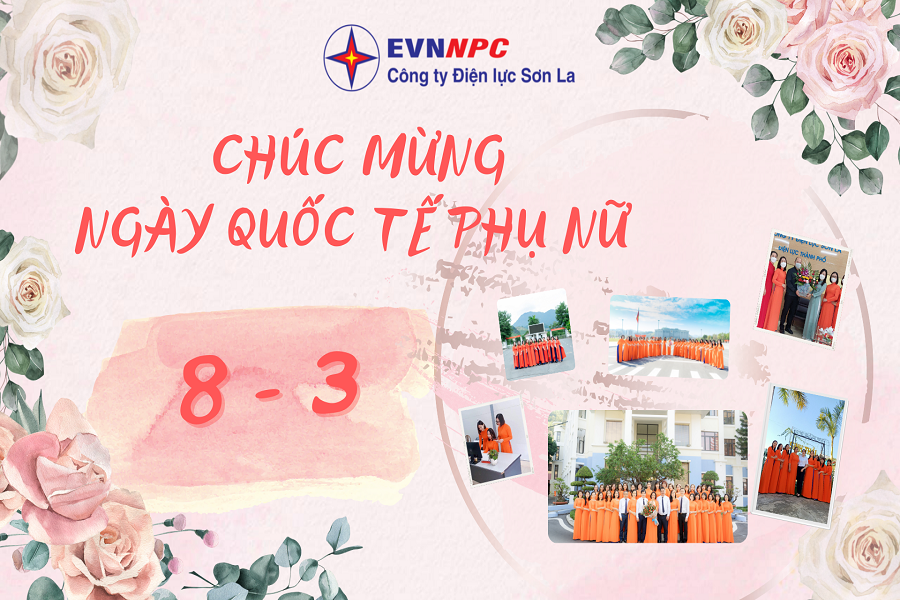 Clip tổng hợp hình ảnh hoạt động 8/3
