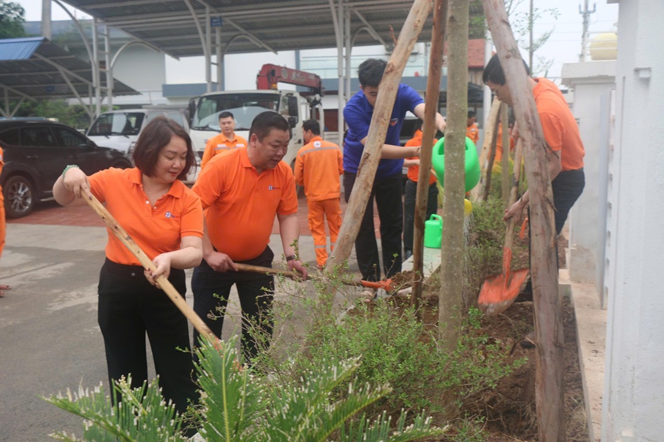 Công ty Điện lực Sơn La phát động Tết trồng cây “Đời đời nhớ ơn Bác Hồ” năm 2026
