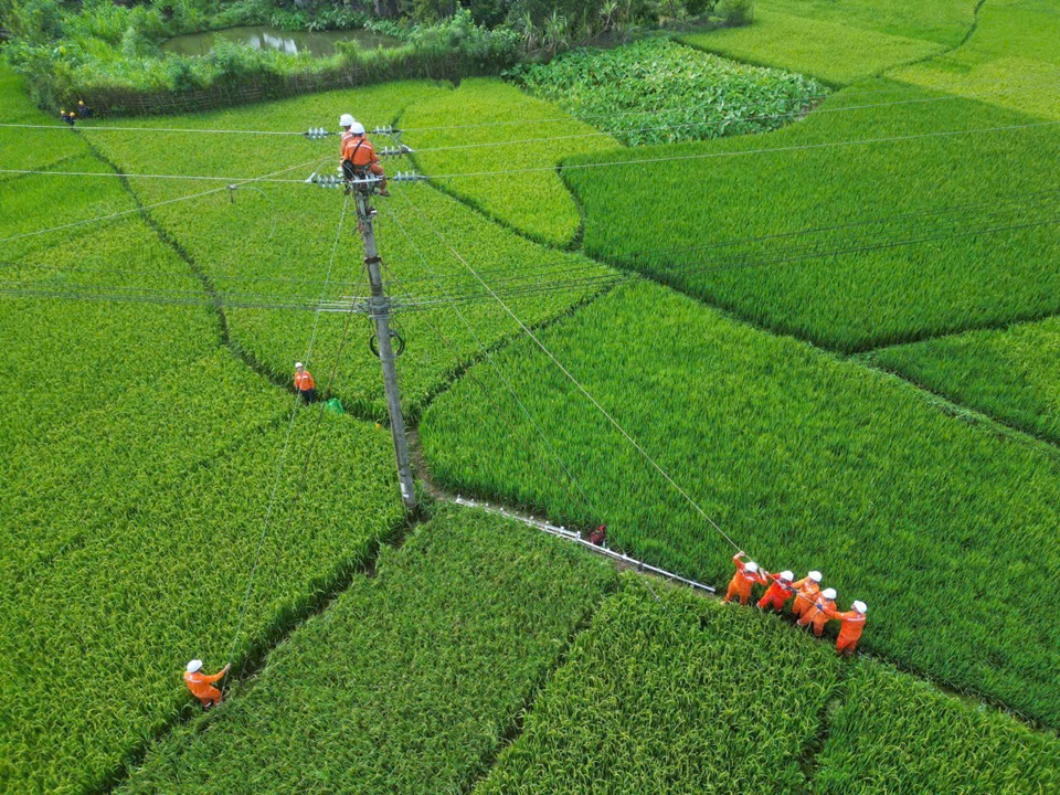 Công ty Điện lực Sơn La chủ động ứng phó phòng, chống thiên tai
