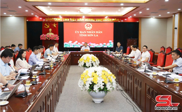 Đẩy nhanh tiến độ triển khai đầu tư các dự án điện năng lượng tái tạo