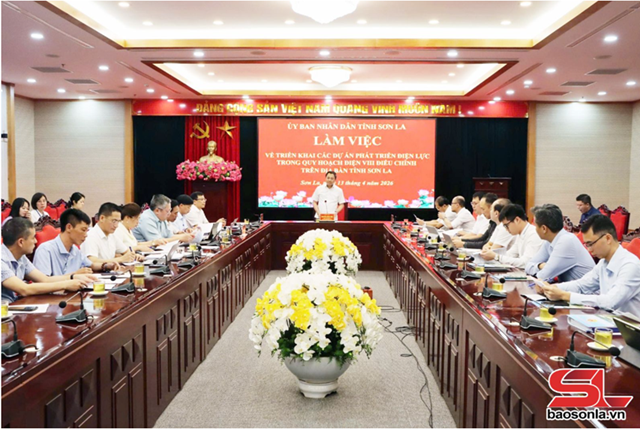 Triển khai các dự án phát triển điện lực trong Quy hoạch điện VIII điều chỉnh trên địa bàn tỉnh
