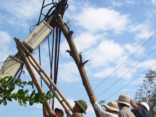 Vi phạm HLATLĐ: Cưa 1 cây, 14 xã mất điện
