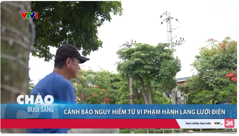 Phóng sự truyền hình (VTV) Nguy hiểm câu cá, thả diều ngay đường điện cao áp 