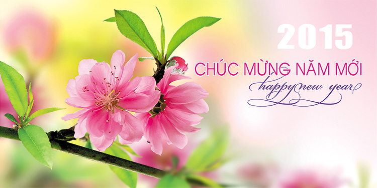 Thư chúc mừng năm mới của lãnh đạo TCT Điện lực miền Bắc gửi CBCNV, người lao động nhân dịp chào đón Xuân Ất Mùi