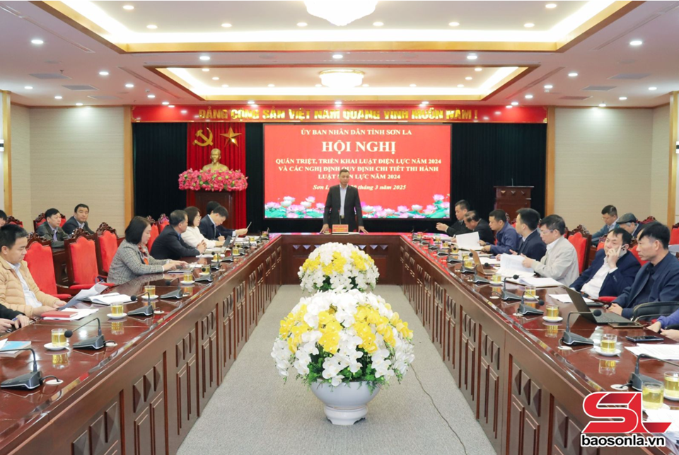 Quán triệt, triển khai luật và các nghị định quy định chi tiết Luật Điện lực năm 2024