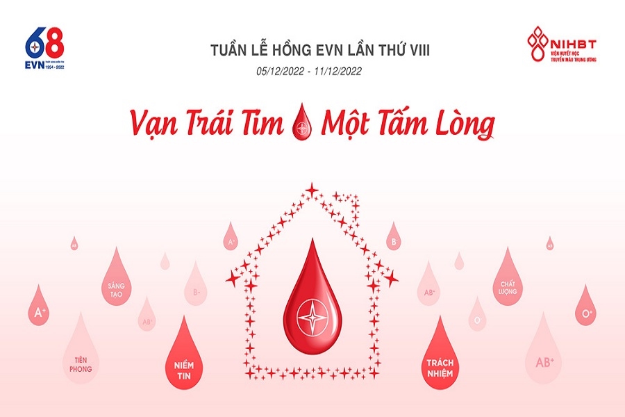 Bộ nhận diện Tuần lễ hồng EVN lần VIII - năm 2022